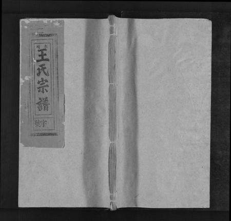 江西王氏族谱-太原王氏宗谱[不分卷].pdf电子版缩略图