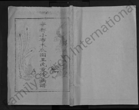 江西王氏族谱-宁都小布木瓜园王氏重修族谱 [不分卷].pdf电子版缩略图