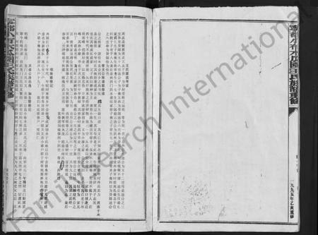 江西王氏族谱-宁都小布木瓜园王氏重修族谱 [不分卷].pdf电子版预览图4