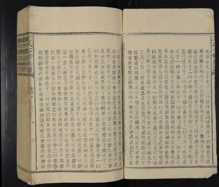 江西王氏族谱-王氏七修族谱 [不分卷].pdf电子版预览图3