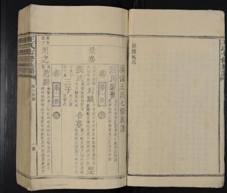 江西王氏族谱-王氏七修族谱 [不分卷].pdf电子版预览图5