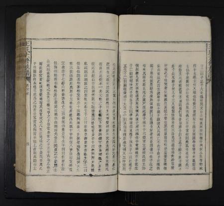 江西王氏族谱-王氏六修族谱 [不分卷].pdf电子版预览图5