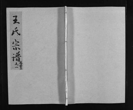 江西王氏族谱-王氏宗谱 [11卷,首2卷].pdf电子版预览图1