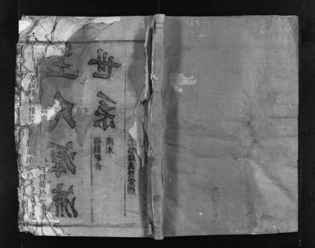 江西王氏族谱-王氏宗谱 [12卷].pdf电子版预览图1