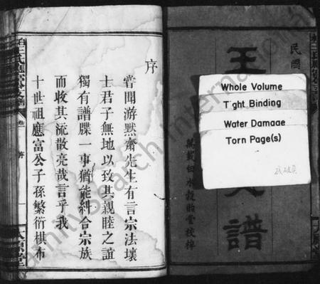 江西王氏族谱-王氏支谱 [16卷,附1卷].pdf电子版预览图3