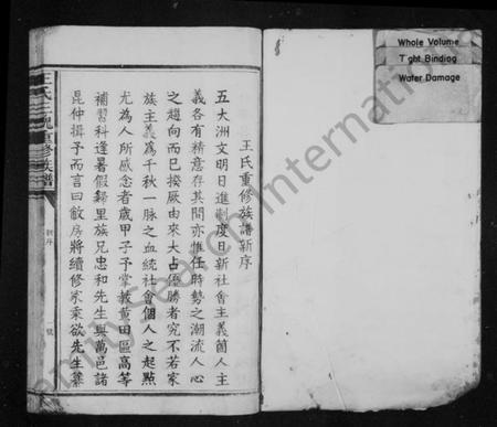 江西王氏族谱-王氏族谱 [卷数不明].pdf电子版预览图1