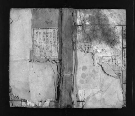 江西王氏族谱-金田王氏族谱 [18卷].pdf电子版预览图1