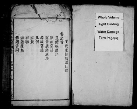 江西王氏族谱-银山王氏重修族谱.pdf电子版预览图2