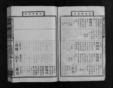 江西王氏族谱-银山王氏重修族谱 [总卷数不详].pdf电子版预览图3