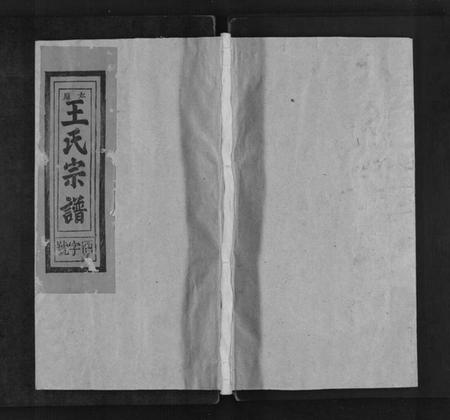 江西王氏族谱-太原王氏宗谱[不分卷].pdf电子版缩略图