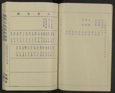 江西王氏族谱-王氏二次联修族谱[不分卷].pdf电子版预览图2