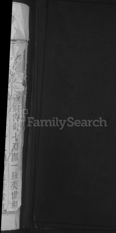 江西王氏族谱-王氏宗谱 [残卷].pdf电子版预览图2