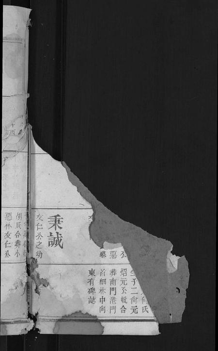 江西未知族谱-旌表义门宗谱 [46卷].pdf电子版预览图4