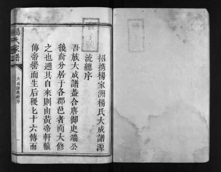 江西未知族谱-杨氏家谱 [不分卷].pdf电子版预览图2