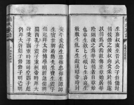 江西未知族谱-杨氏家谱 [不分卷].pdf电子版预览图3