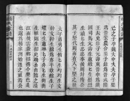 江西未知族谱-杨氏家谱 [不分卷].pdf电子版预览图4