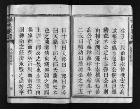 江西未知族谱-杨氏家谱 [不分卷].pdf电子版预览图5