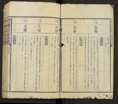 江西温氏族谱-城北太原温氏六修族谱[不分卷].pdf电子版预览图2