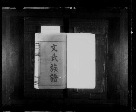 江西文氏族谱-大义口文氏族谱 [14卷].pdf电子版预览图2