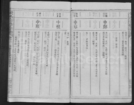 江西吴氏族谱-吴氏合修宗谱 [10卷,首末各1卷].pdf电子版预览图3