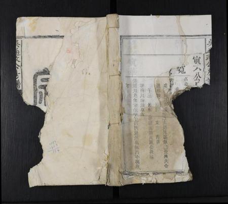 江西吴氏族谱-吴通政公房谱 [不分卷].pdf电子版缩略图