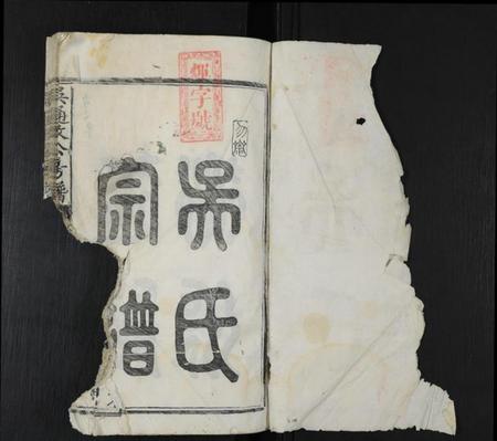 江西吴氏族谱-吴通政公房谱 [不分卷].pdf电子版预览图2