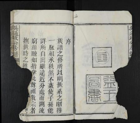 江西吴氏族谱-吴通政公房谱 [不分卷].pdf电子版预览图4