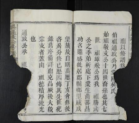 江西吴氏族谱-吴通政公房谱 [不分卷].pdf电子版预览图5