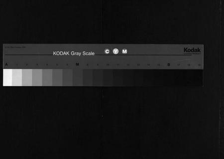 江西吴氏族谱-怀玉吴氏宗谱 [38卷,首末各1卷].pdf电子版缩略图