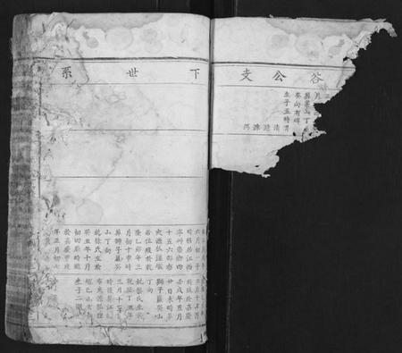 江西夏氏族谱-夏氏宗谱[总卷数不详].pdf电子版预览图2