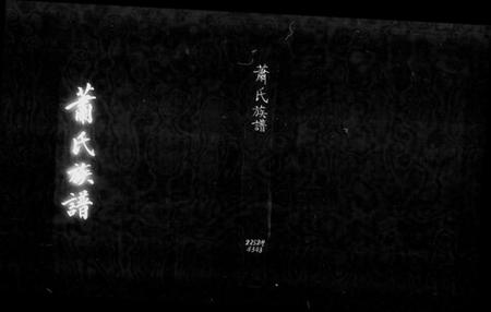 广东、福建萧氏族谱-萧氏族谱.pdf电子版缩略图