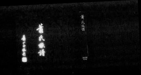 广东、福建萧氏族谱-萧氏族谱.pdf电子版预览图1