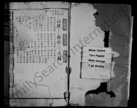 江西萧氏族谱-洋湖萧氏五修族谱 [残卷].pdf电子版预览图1