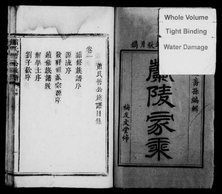 江西萧氏族谱-[萧氏]兰陵家乘[4卷].pdf电子版预览图2