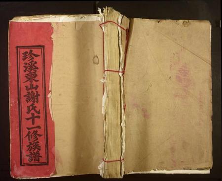 江西谢氏族谱-珍溪东山谢氏十一修族谱[不分卷].pdf电子版缩略图