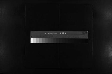 江西谢氏族谱-谢氏宗谱 [卷数杂异].pdf电子版缩略图