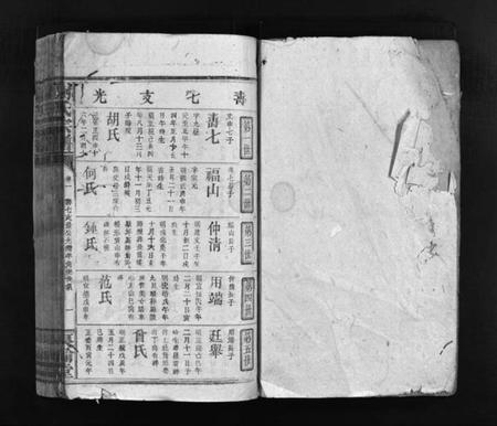 江西谢氏族谱-谢氏宗谱 [卷数杂异].pdf电子版预览图2