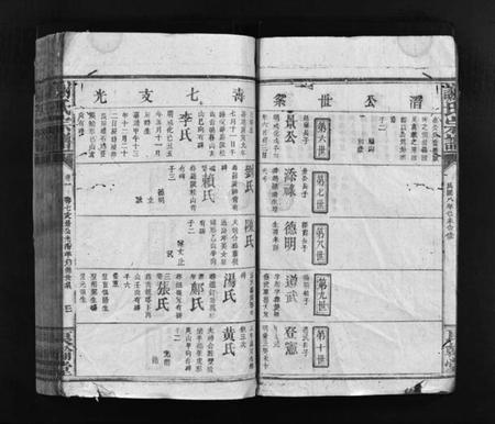 江西谢氏族谱-谢氏宗谱 [卷数杂异].pdf电子版预览图4