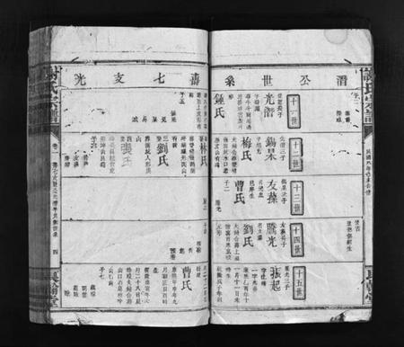 江西谢氏族谱-谢氏宗谱 [卷数杂异].pdf电子版预览图5