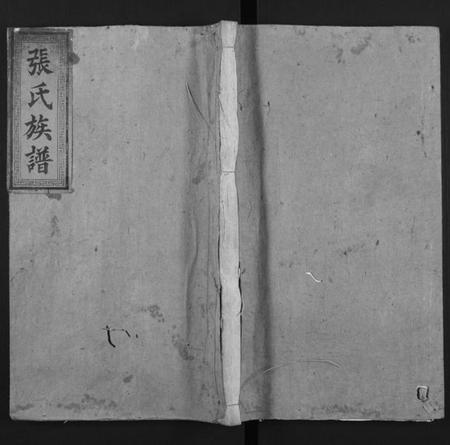 广东、福建张氏族谱-张氏族谱[总卷数不详].pdf电子版缩略图