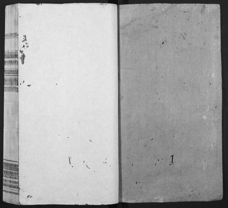 广东、福建张氏族谱-张氏族谱[总卷数不详].pdf电子版预览图1