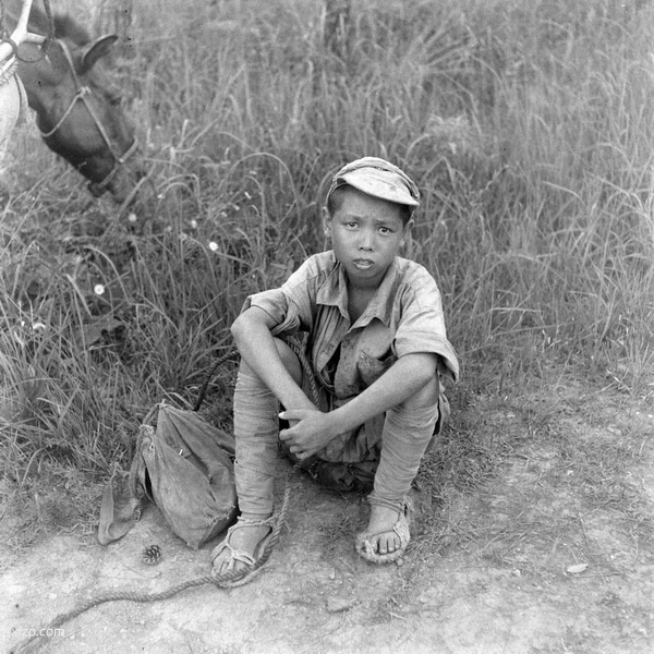 《威尔克斯的中国摄影集》1945-1946年 影集下载预览图1