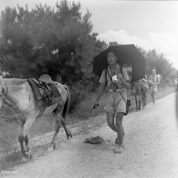 《威尔克斯的中国摄影集》1945-1946年 影集下载预览图2