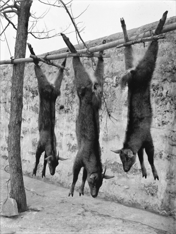 1911年宜昌老照片 百年前宜昌的城市风貌和百姓生活预览图27