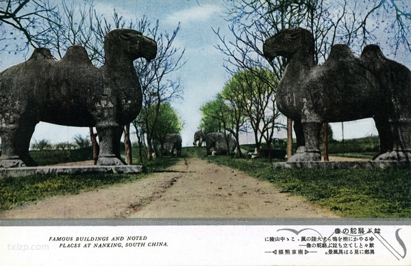 抗战期间日本发行的彩色明信片：南京点描预览图2