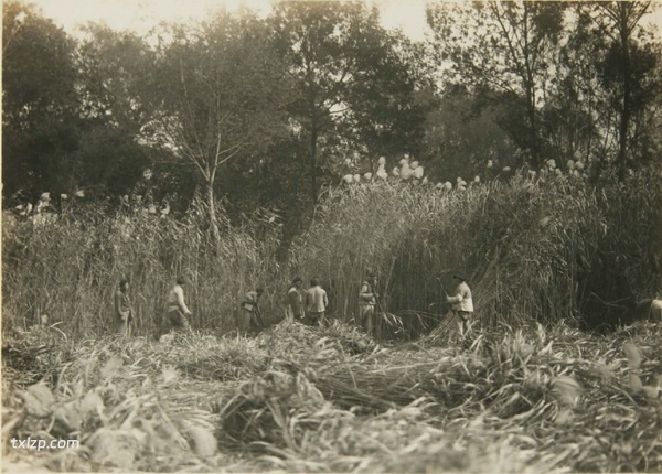 1931年镇江老照片 甘露寺|金山寺|焦山预览图2
