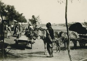 1909年张伯林中国行 5月10日-11日从信阳许昌到郑州照片缩略图