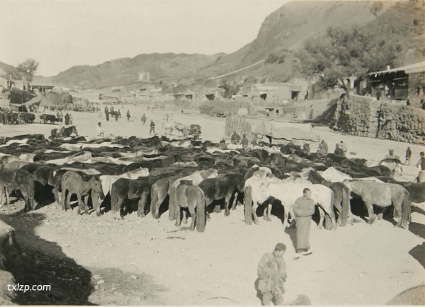 1924年张家口老照片 百年前的张家城市内外风貌预览图4