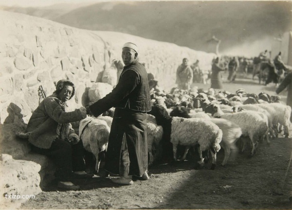 1924年张家口老照片 百年前的张家城市内外风貌预览图5