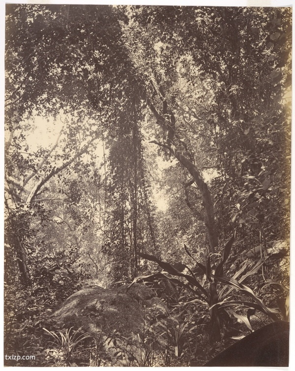 1869年澳门老照片 150年前的澳门城市风貌预览图5